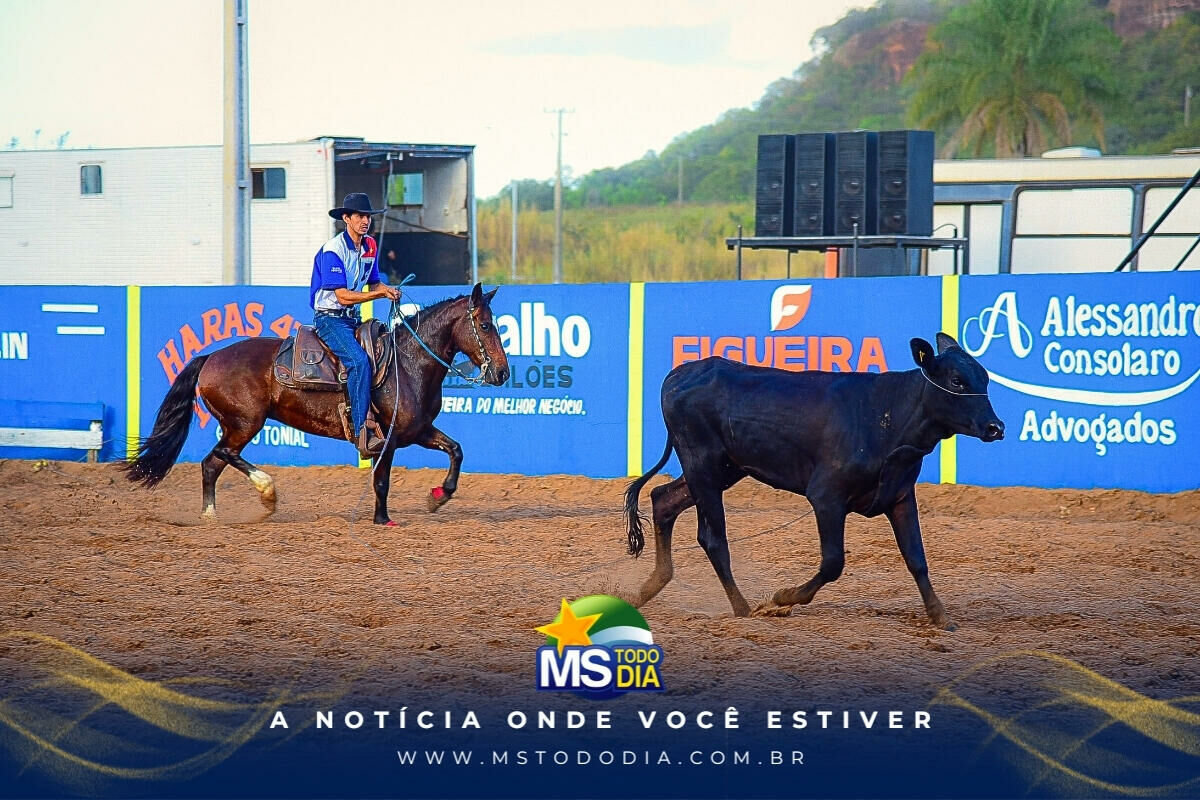Imagem da Galeria